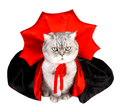 Vampire Cloak for Pets