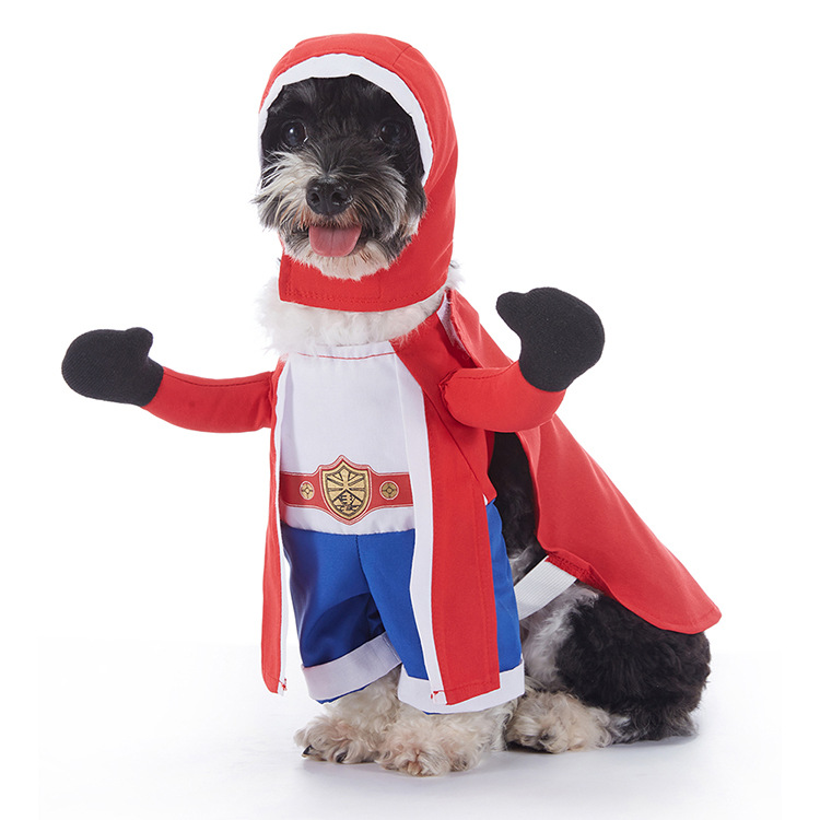 Dog Halloween Costume