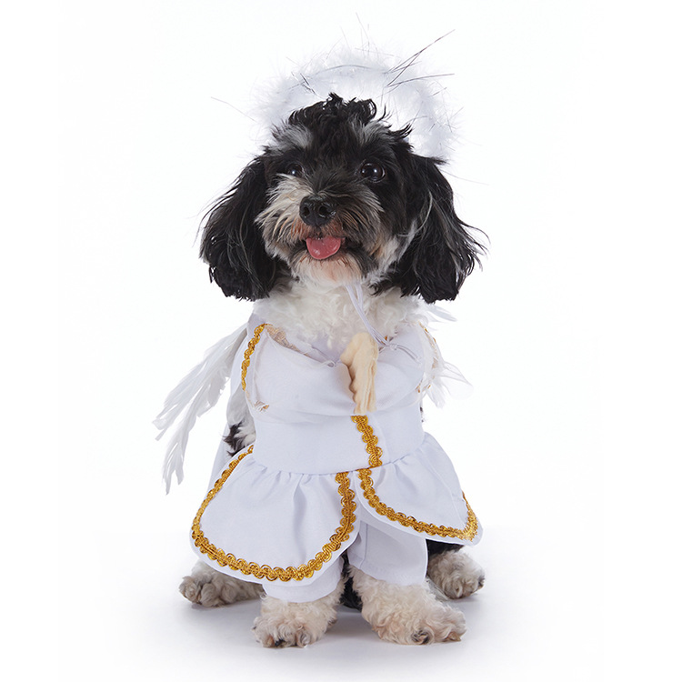 Dog Halloween Costume