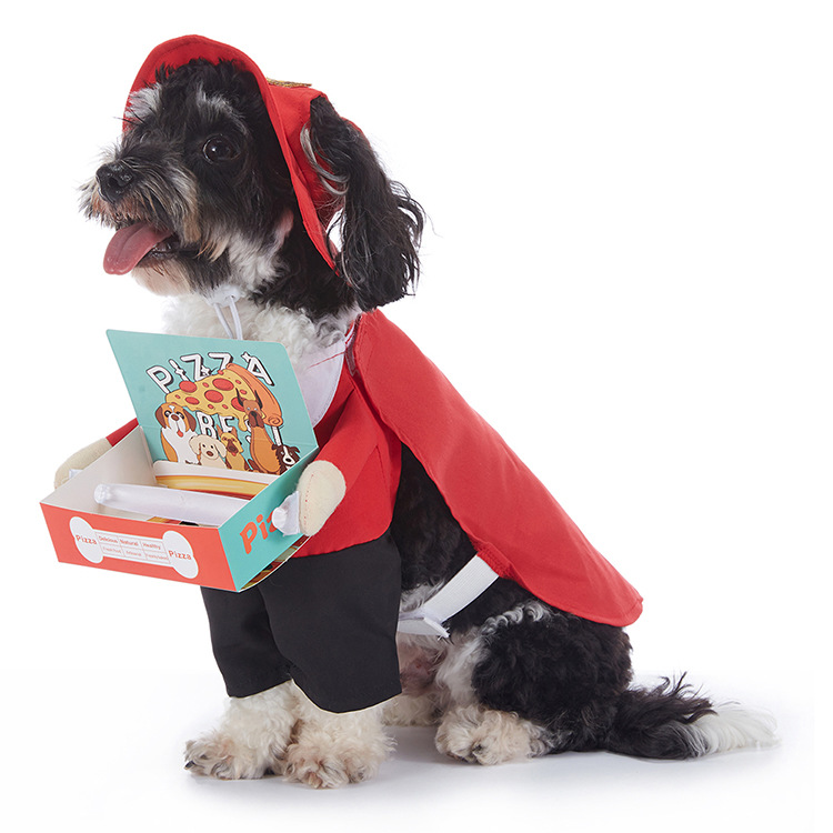 Dog Halloween Costume