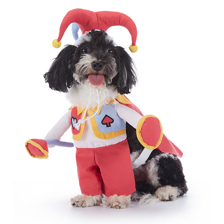 Dog Halloween Costume