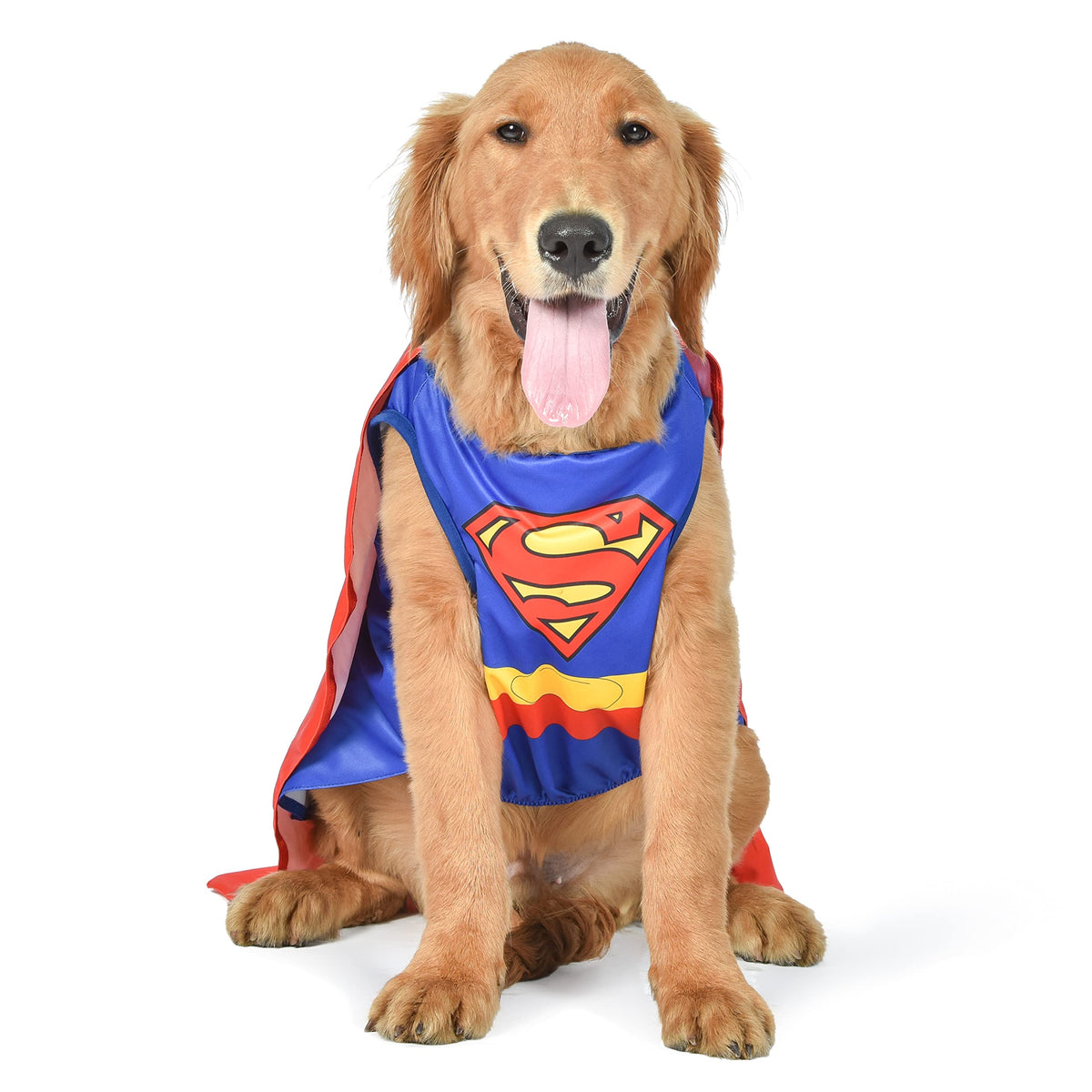 Superman Dog Costume