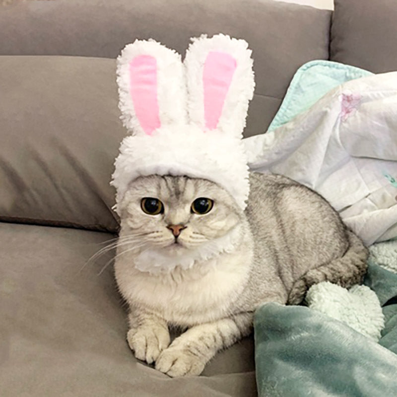 Bunny Ears Pet Headband
