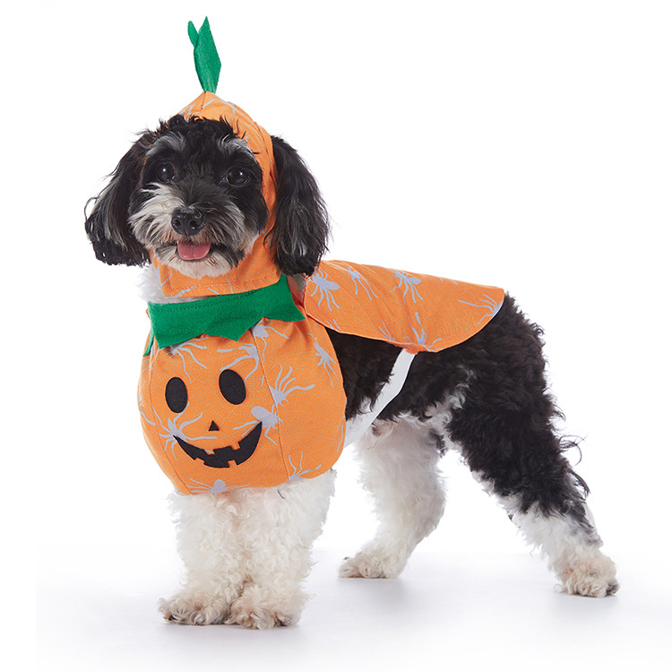 Dog Halloween Costume