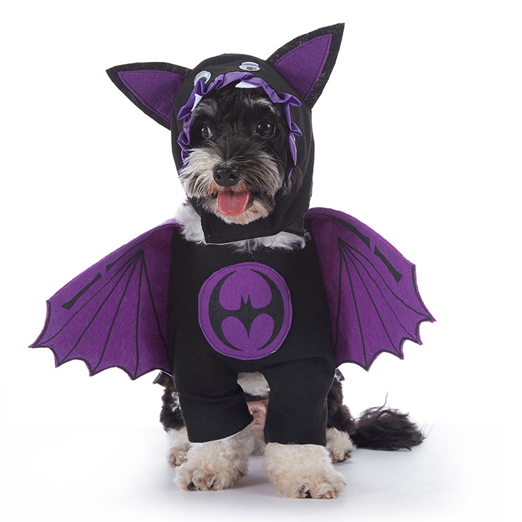Dog Halloween Costume
