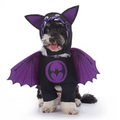 Dog Halloween Costume